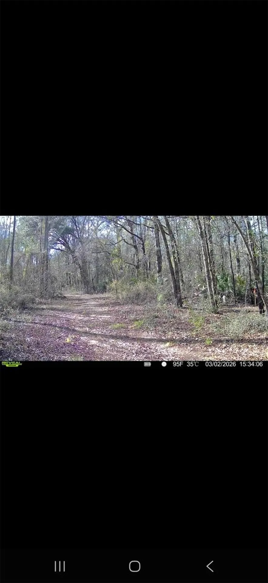 4814 NW 244 Avenue Alachua FL 32615