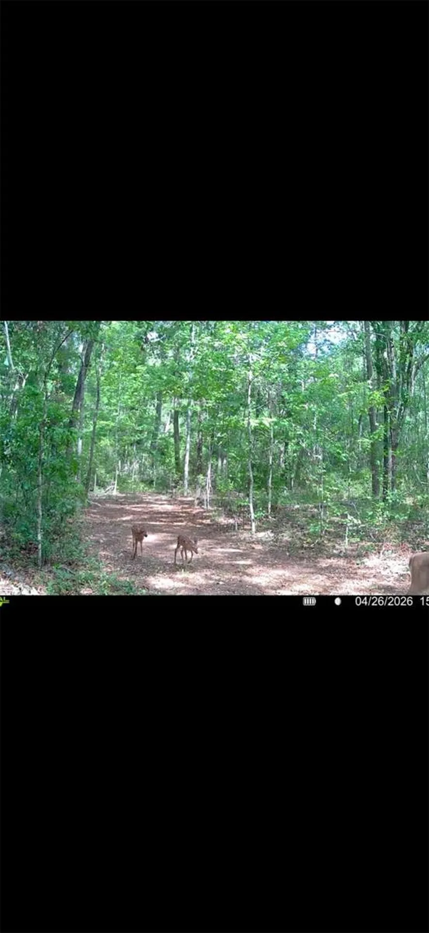4814 NW 244 Avenue Alachua FL 32615