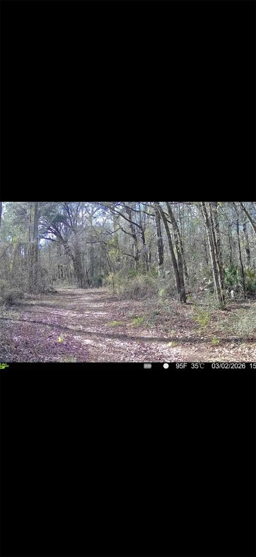 4814 NW 244 Avenue Alachua FL 32615