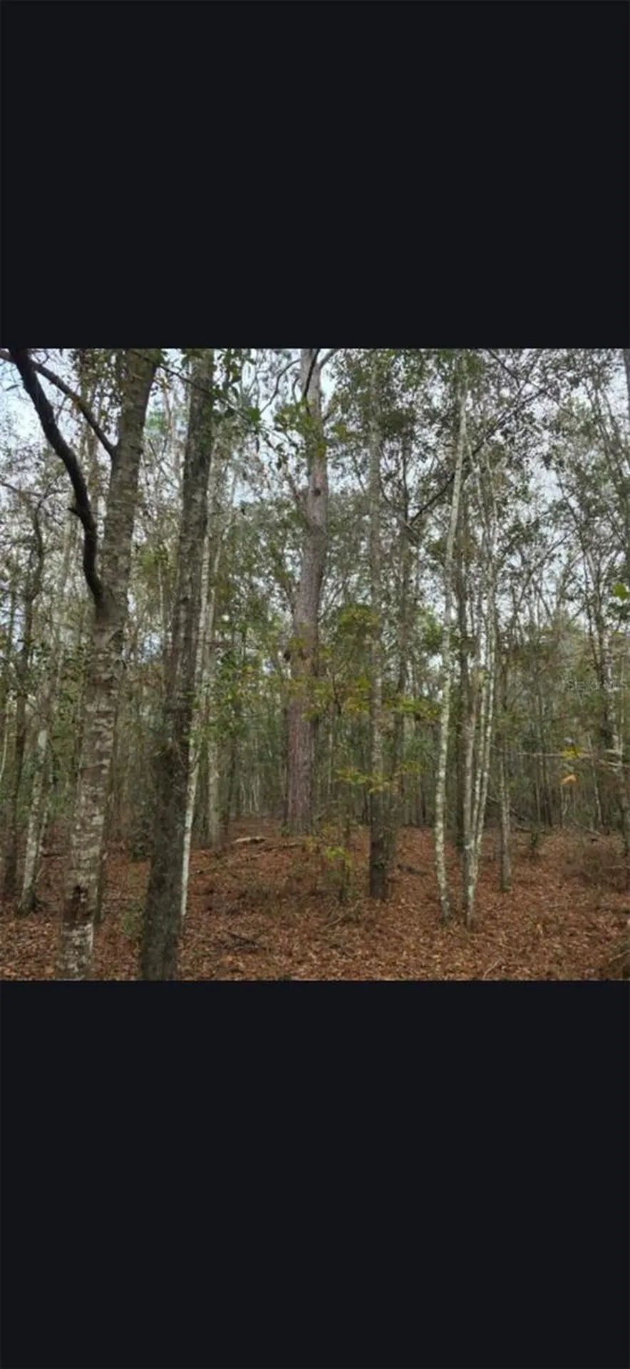 4814 NW 244 Avenue Alachua FL 32615