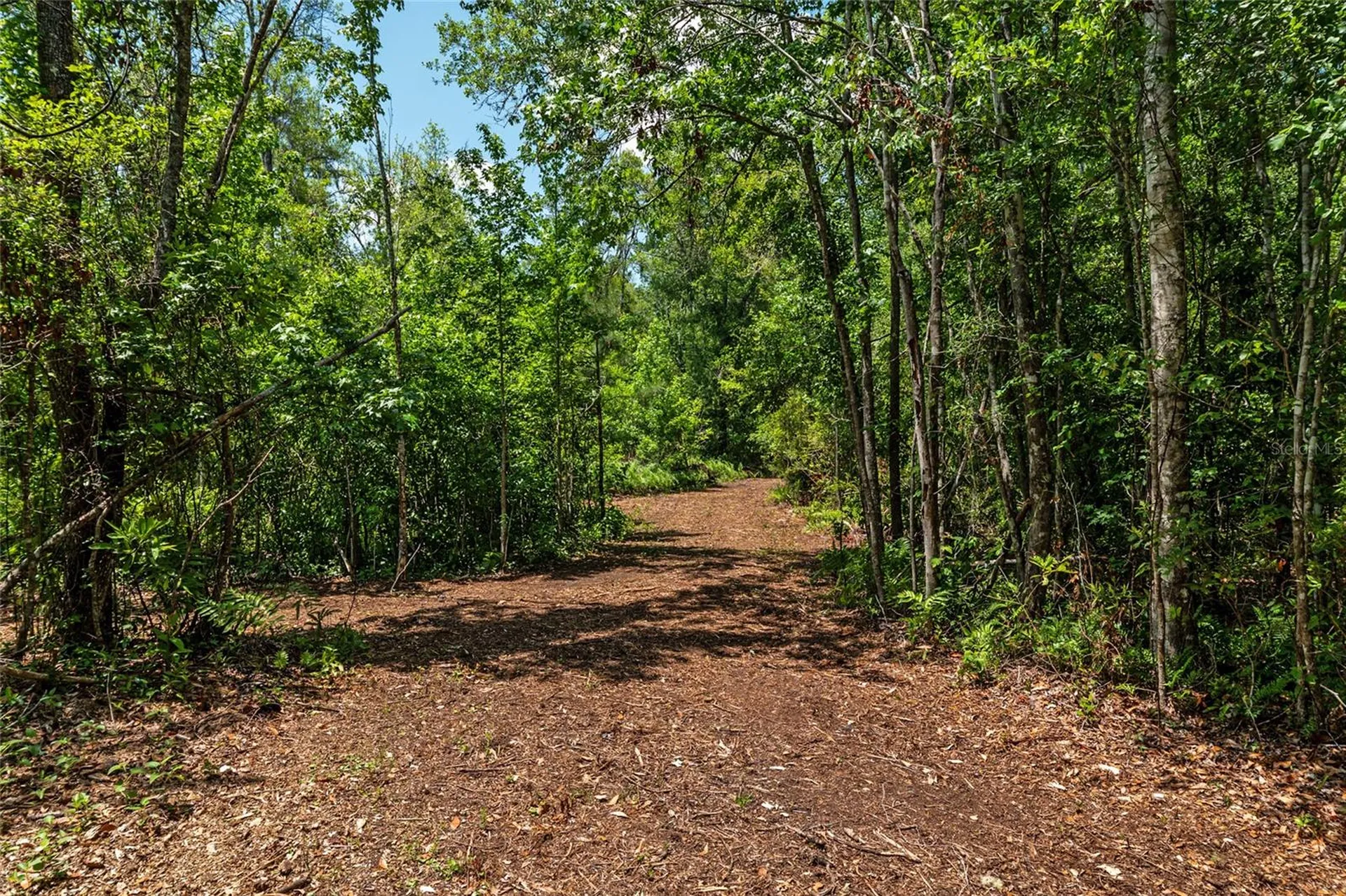 4814 NW 244 Avenue Alachua FL 32615