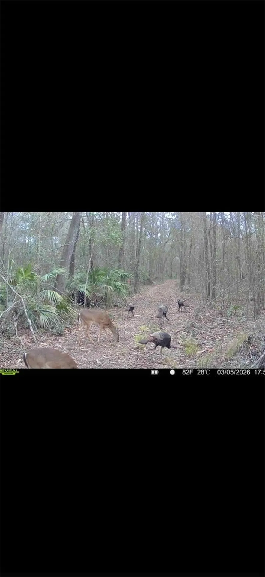 4814 NW 244 Avenue Alachua FL 32615