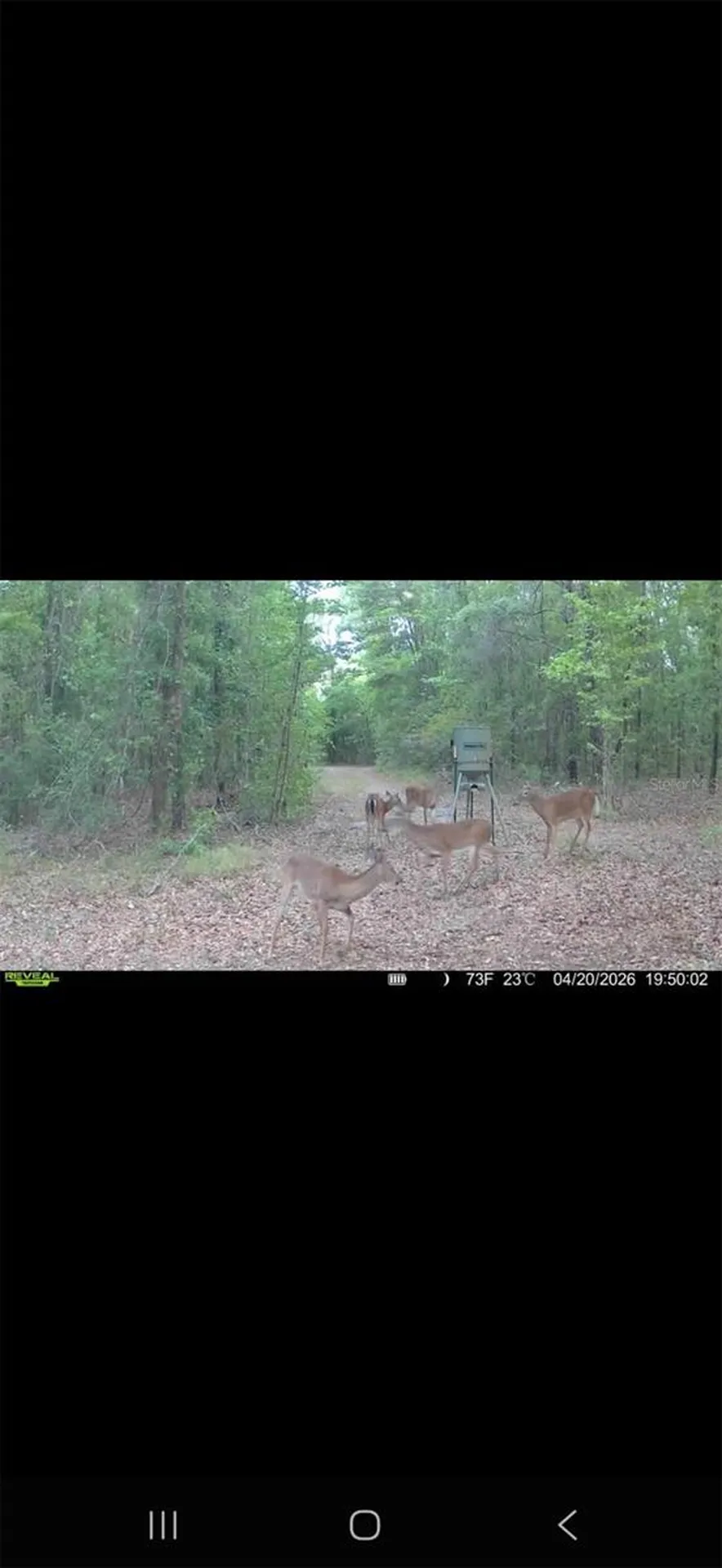 4814 NW 244 Avenue Alachua FL 32615