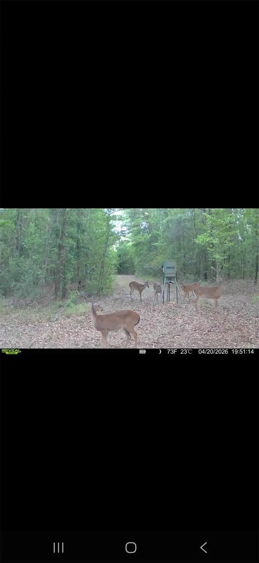 4814 NW 244 Avenue Alachua FL 32615