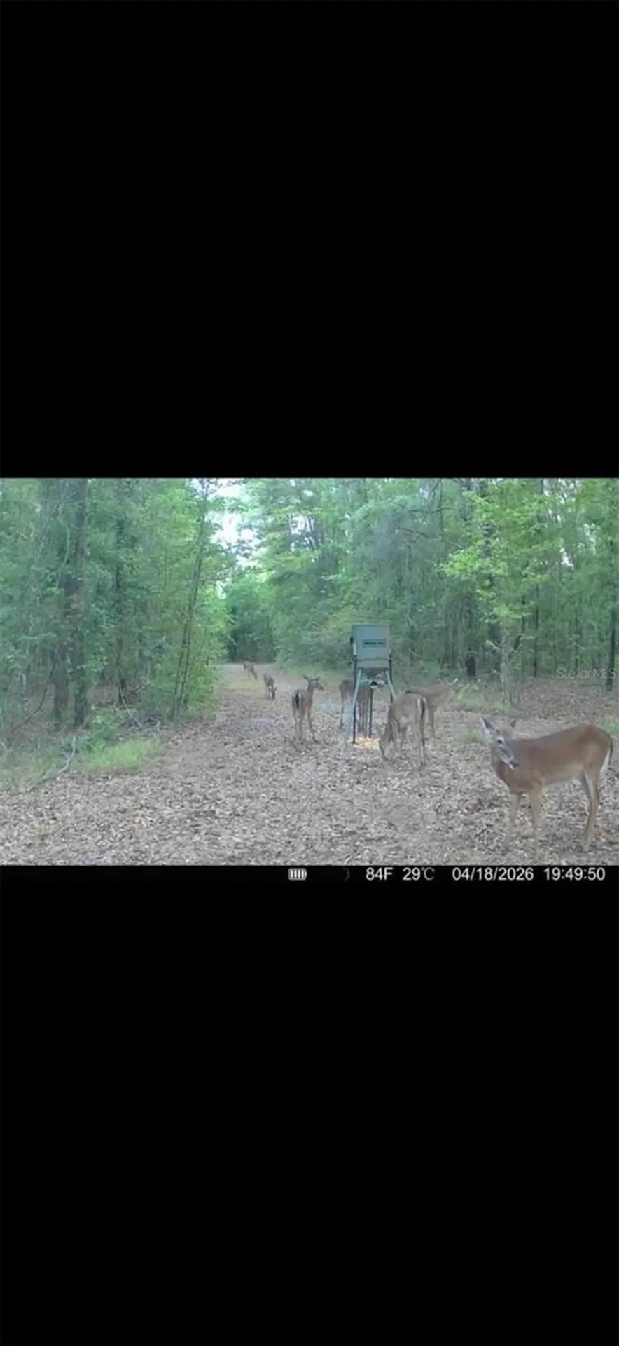 4814 NW 244 Avenue Alachua FL 32615