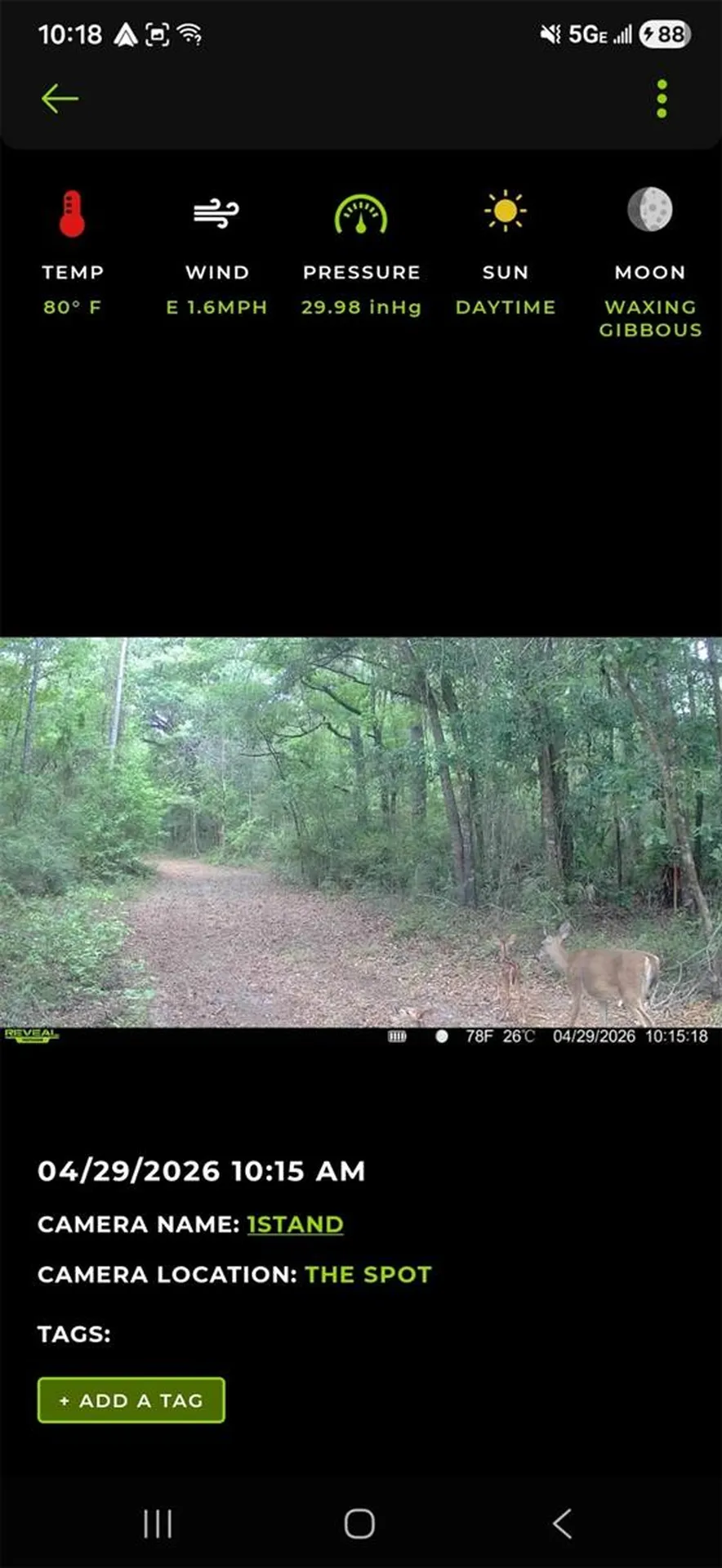 4814 NW 244 Avenue Alachua FL 32615