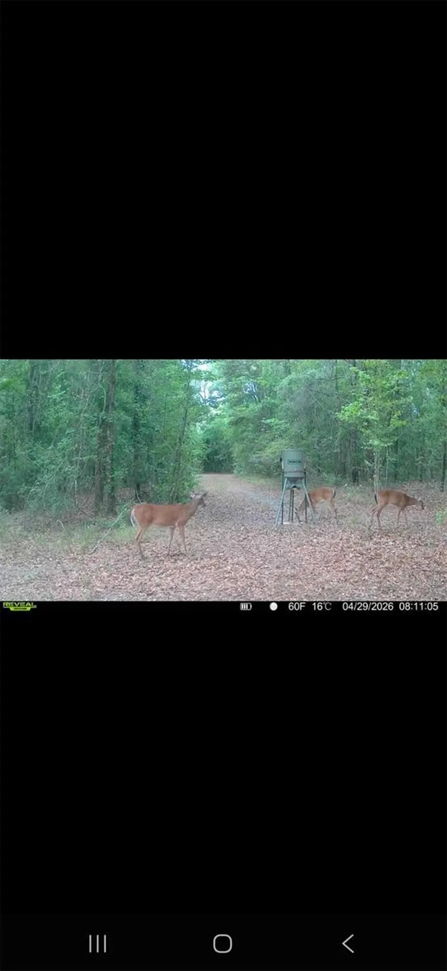 4814 NW 244 Avenue Alachua FL 32615