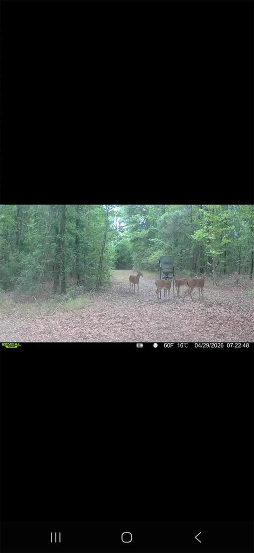 4814 NW 244 Avenue Alachua FL 32615