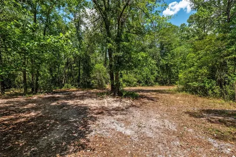 4814 NW 244 Avenue Alachua FL 32615