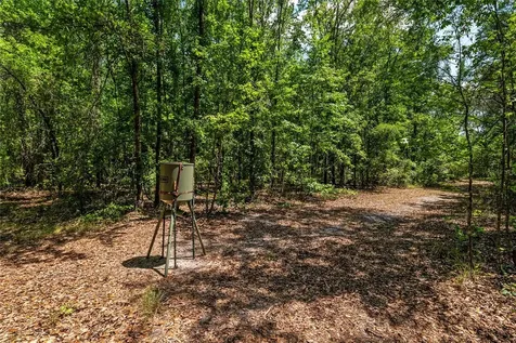 4814 NW 244 Avenue Alachua FL 32615