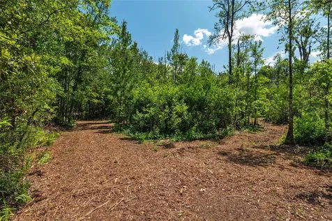 4814 NW 244 Avenue Alachua FL 32615