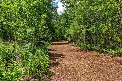4814 NW 244 Avenue Alachua FL 32615