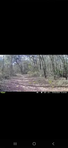 4814 NW 244 Avenue Alachua FL 32615