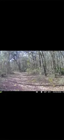 4814 NW 244 Avenue Alachua FL 32615