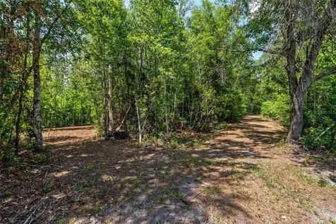 4814 NW 244 Avenue Alachua FL 32615