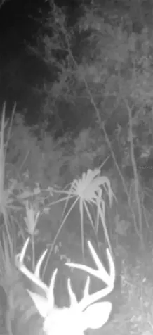 4814 NW 244 Avenue Alachua FL 32615