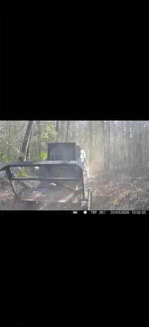 4814 NW 244 Avenue Alachua FL 32615
