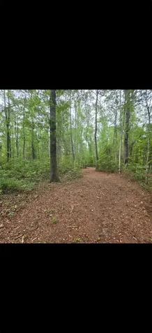 4814 NW 244 Avenue Alachua FL 32615