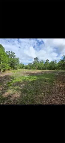 4814 NW 244 Avenue Alachua FL 32615