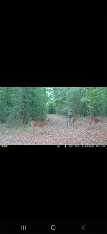 4814 NW 244 Avenue Alachua FL 32615