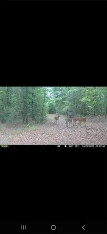 4814 NW 244 Avenue Alachua FL 32615
