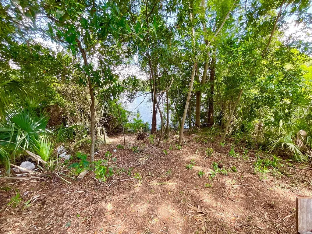 1145 7th Street N Safety Harbor FL 34695