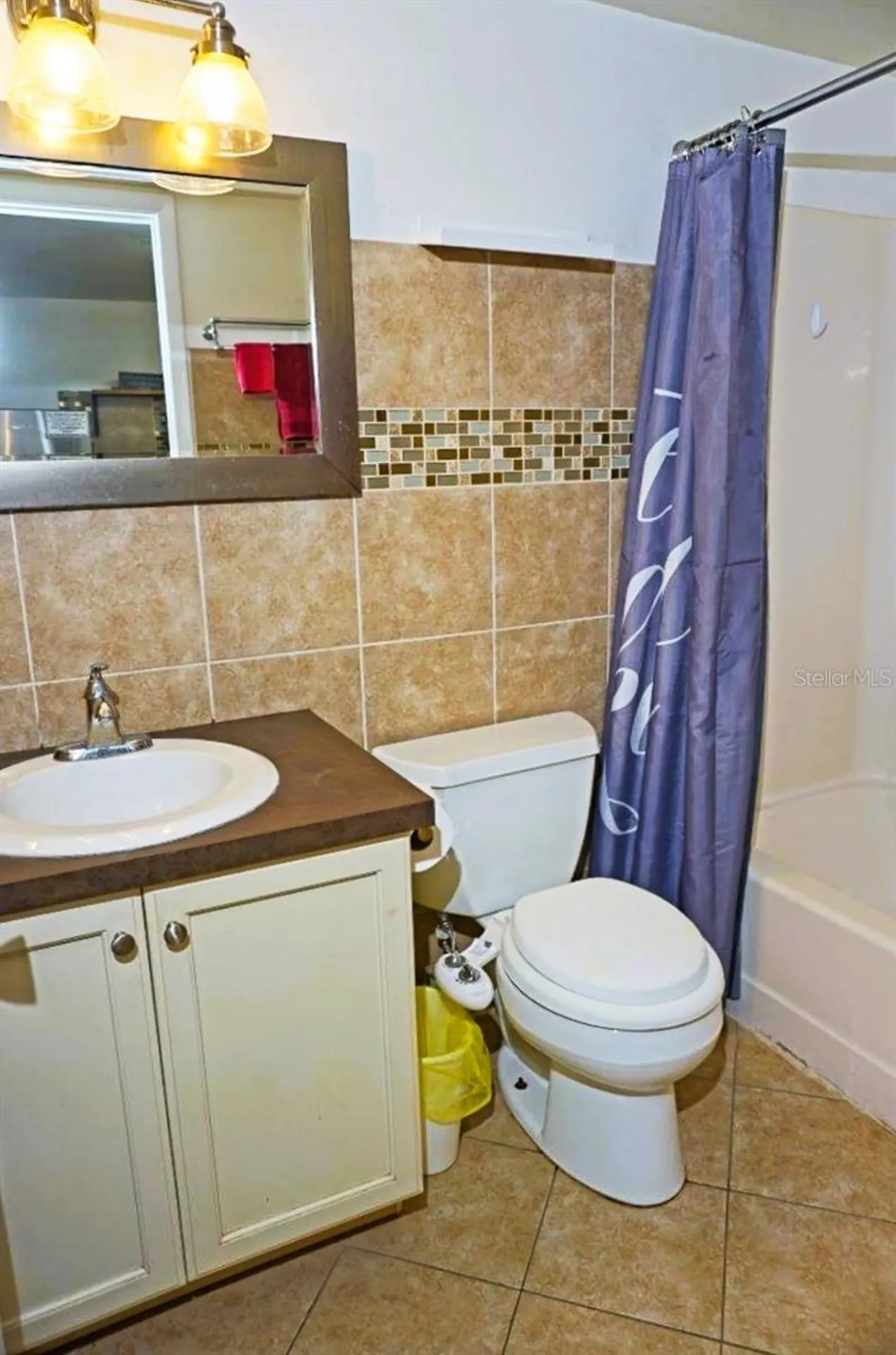 20853 Haulover Cove Lutz FL 33558