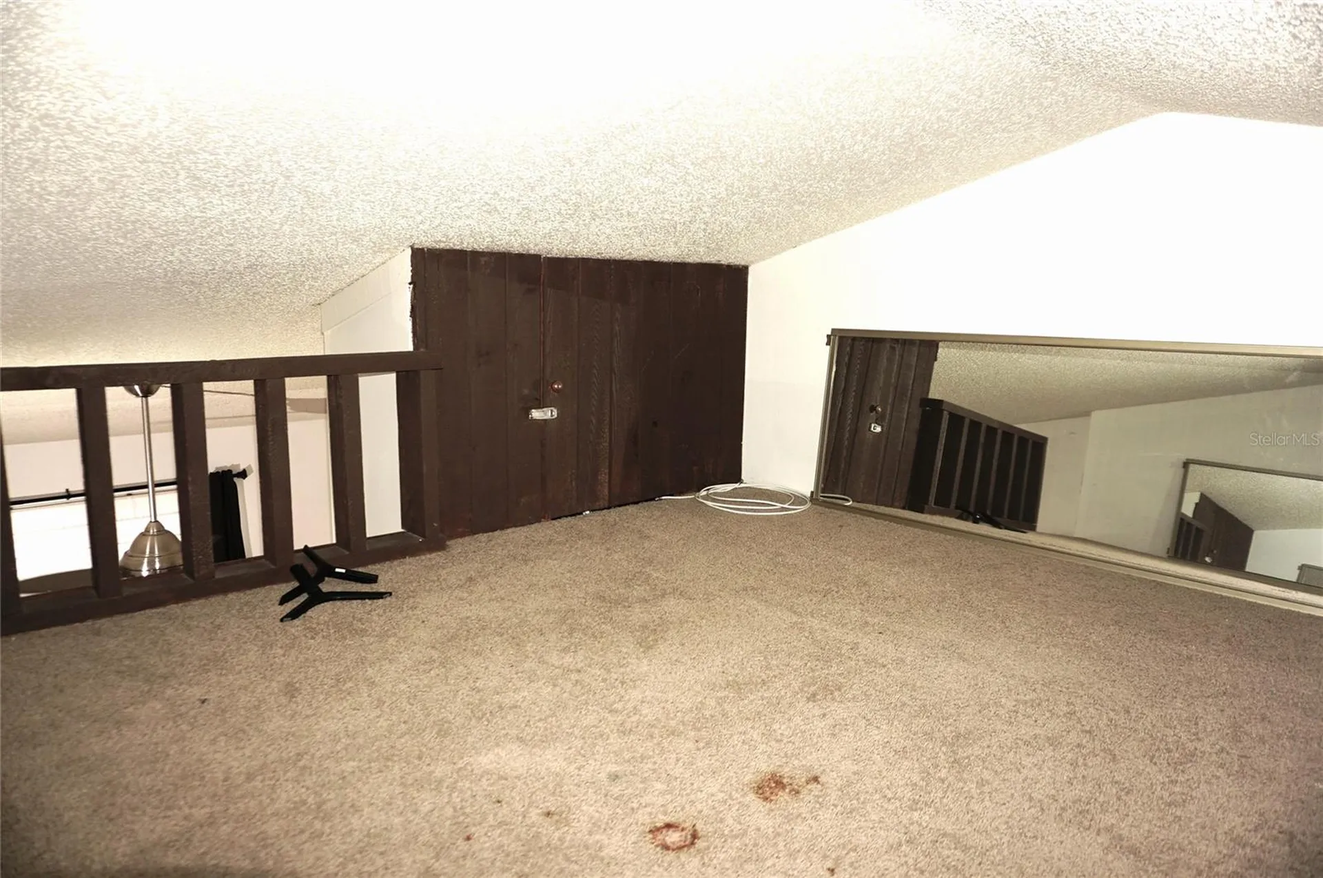 20853 Haulover Cove Lutz FL 33558