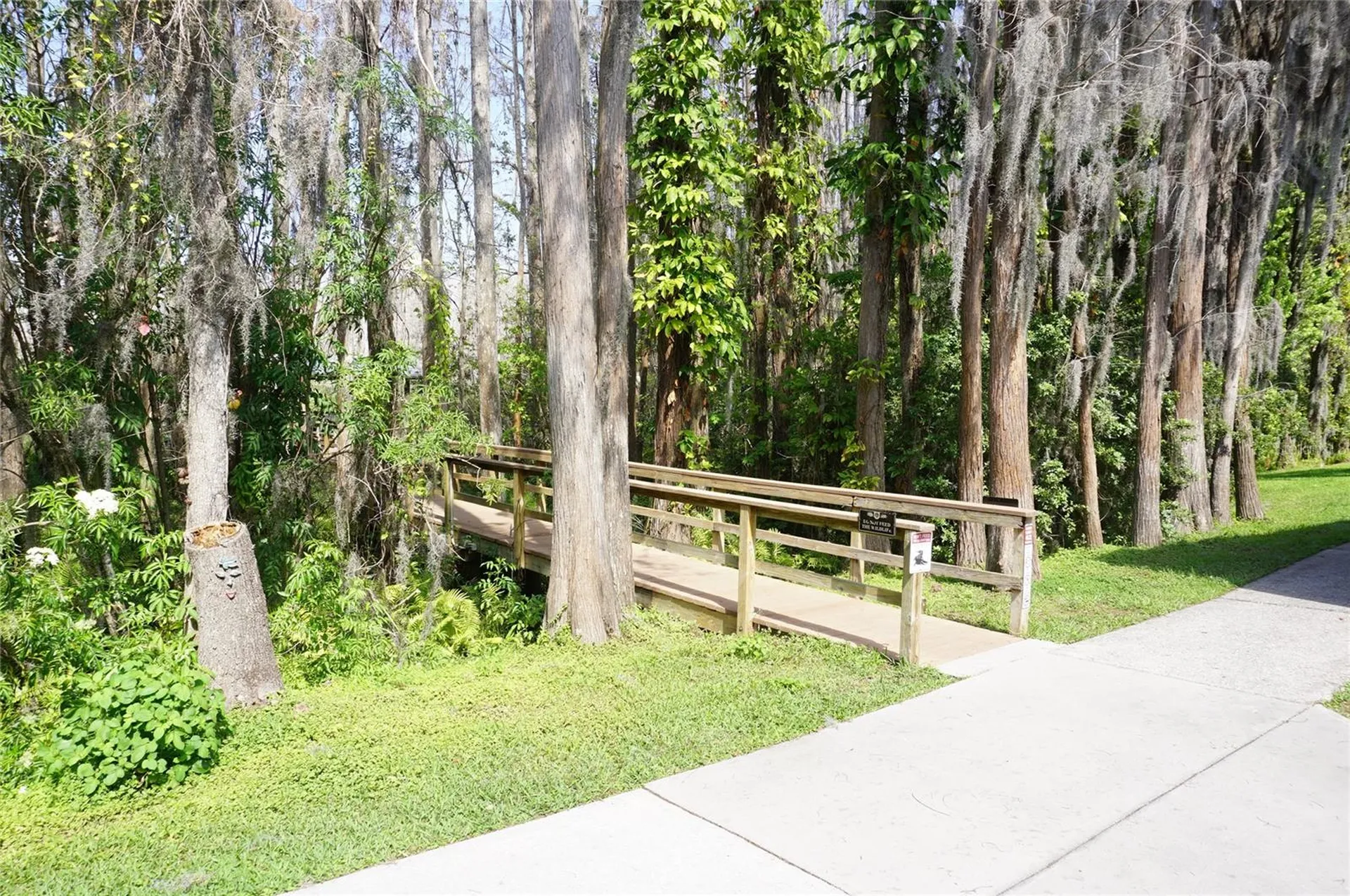 20853 Haulover Cove Lutz FL 33558