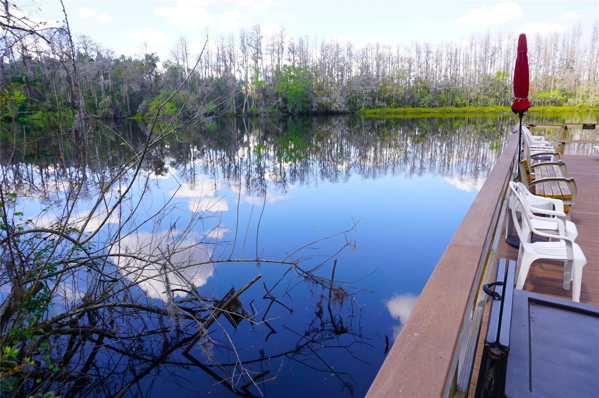 20853 Haulover Cove Lutz FL 33558