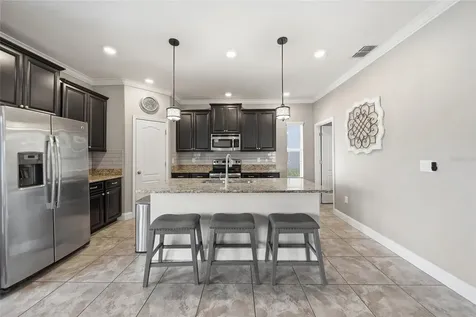 18891 Hampstead Heath Court Land O Lakes FL 34638