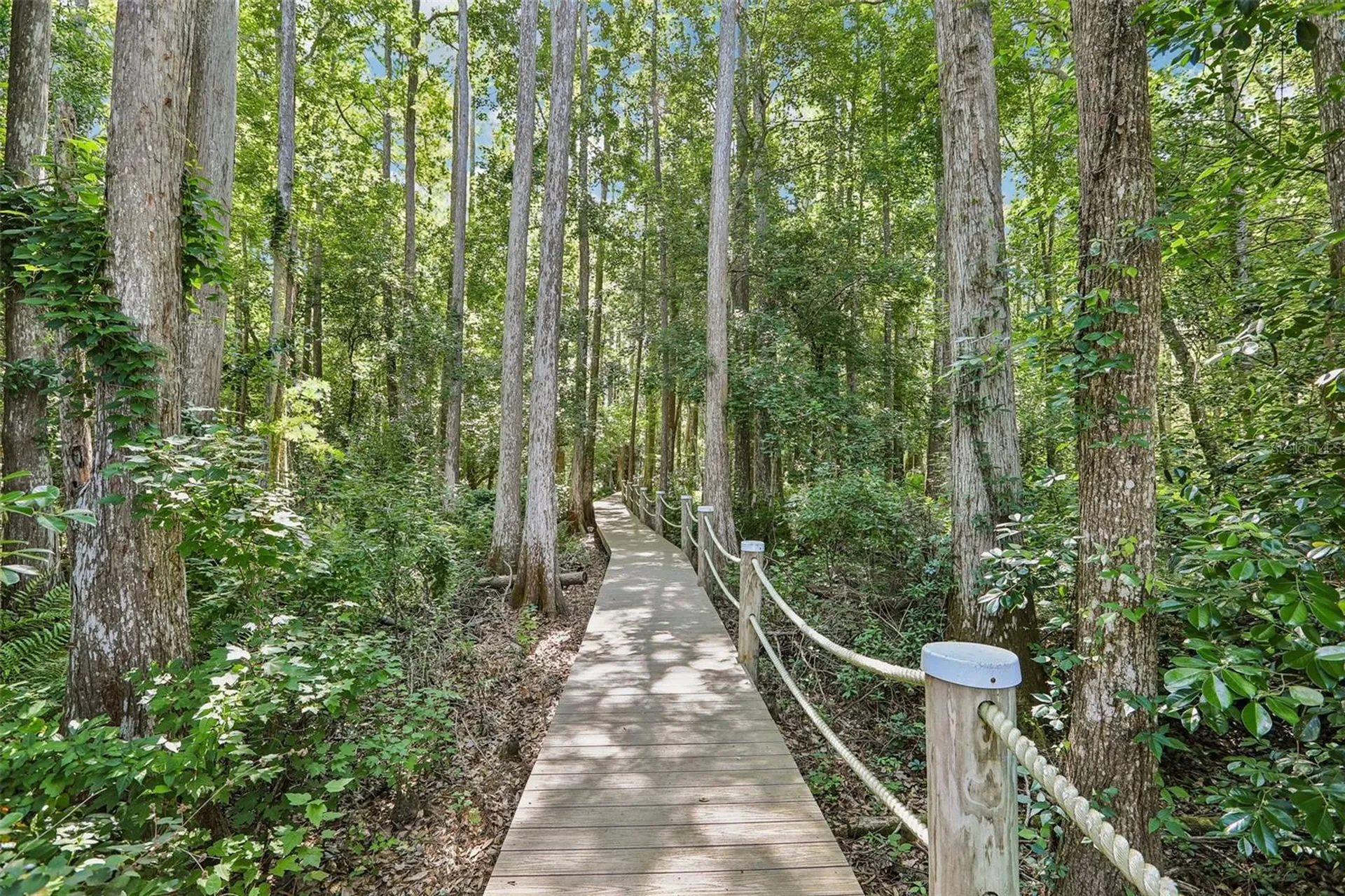 16117 Suncrest Shores Drive Odessa FL 33556