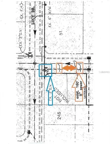Chris Drive Wesley Chapel FL 33543