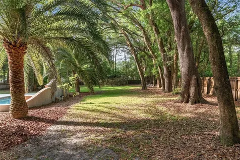 13717 SW 1st Road Newberry FL 32669