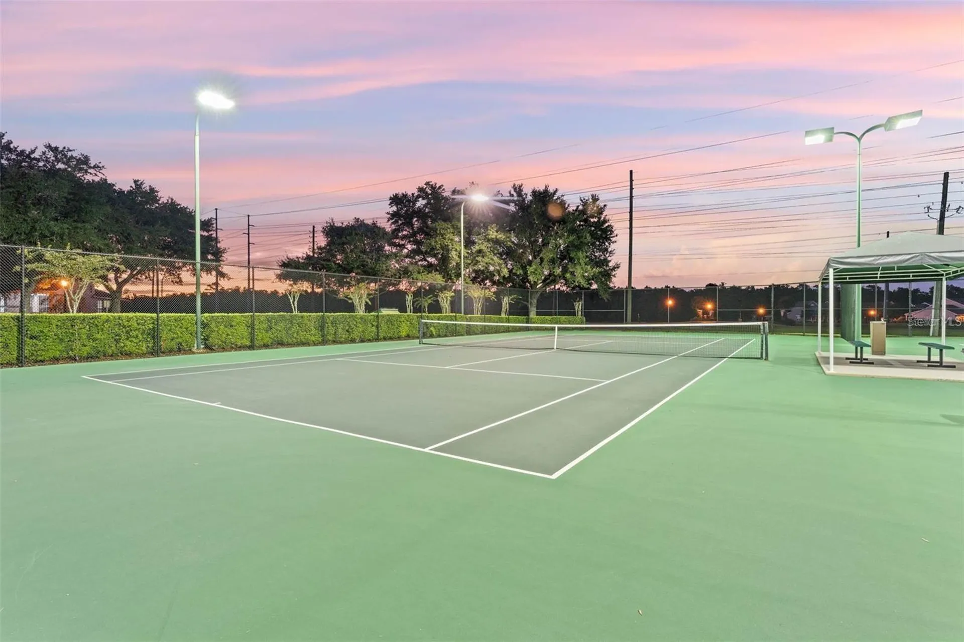 14362 Southern Red Maple Drive Orlando FL 32828