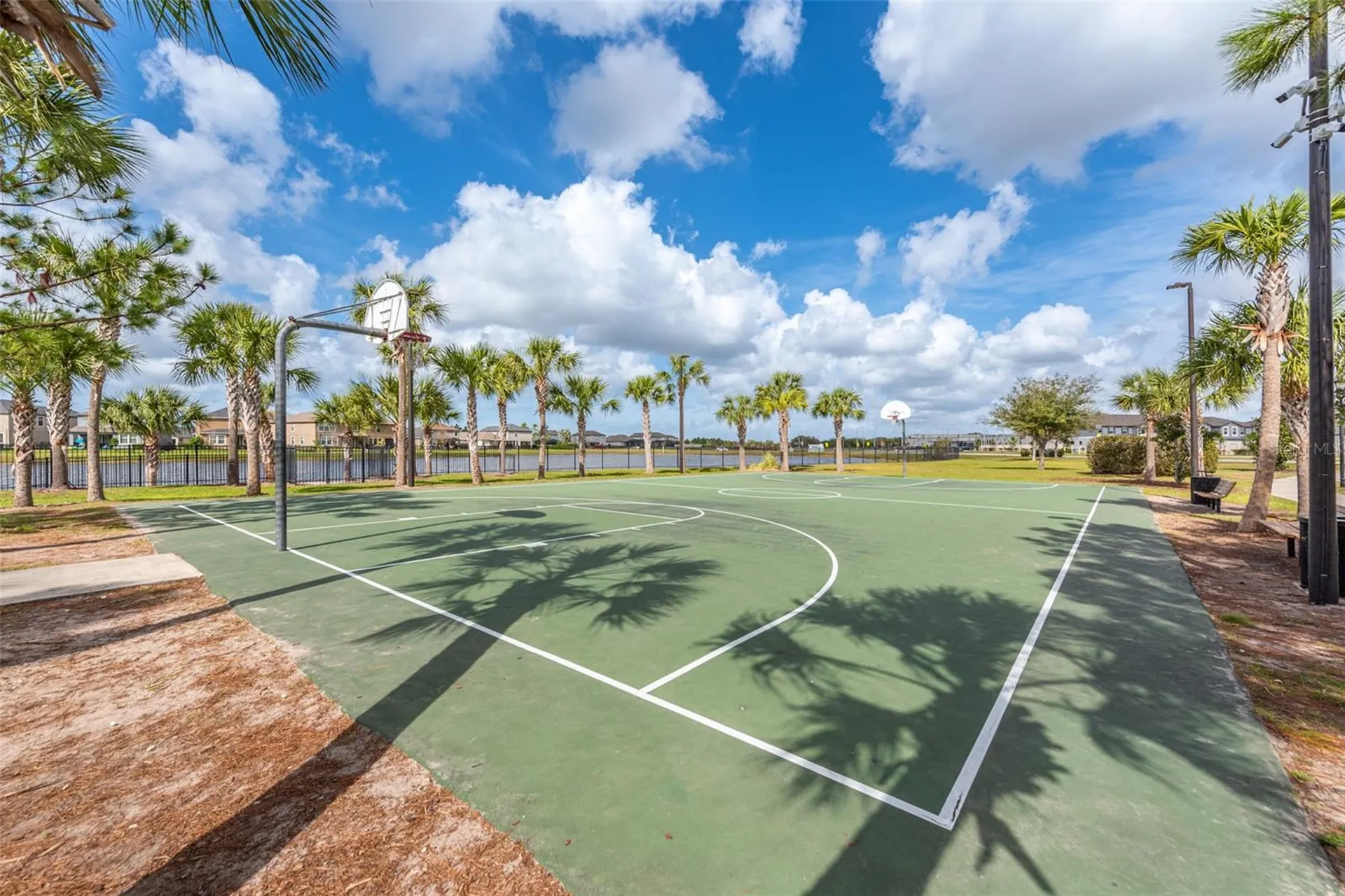 10109 Celtic Ash Drive Ruskin FL 33573