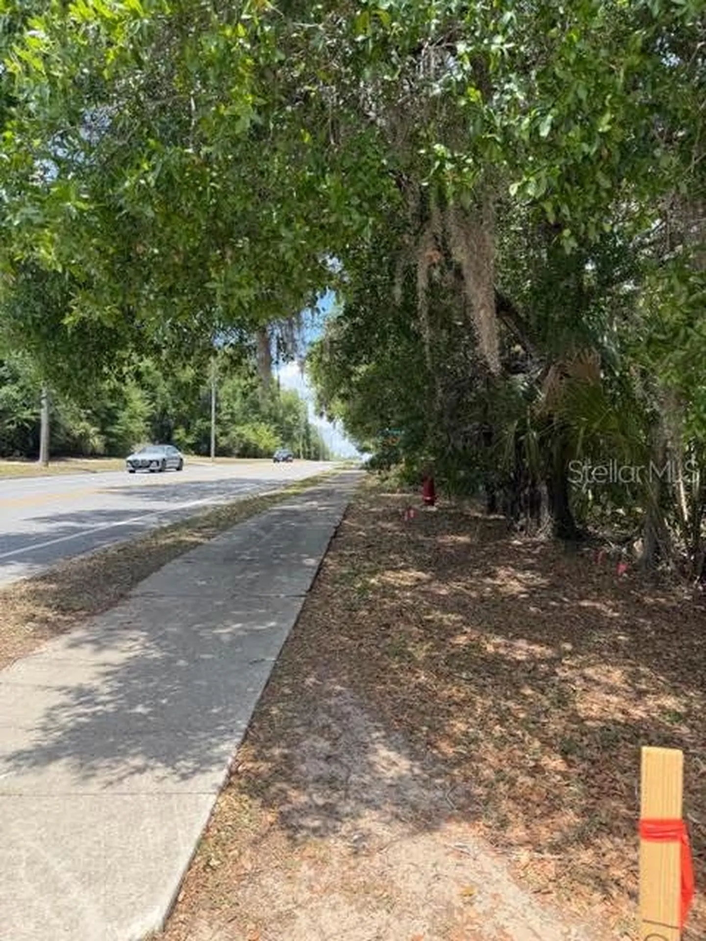 451 Rolling Acres Road Lady Lake FL 32159