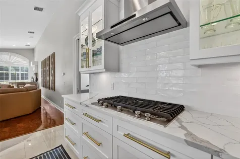 17803 Osprey Pointe Place Tampa FL 33647