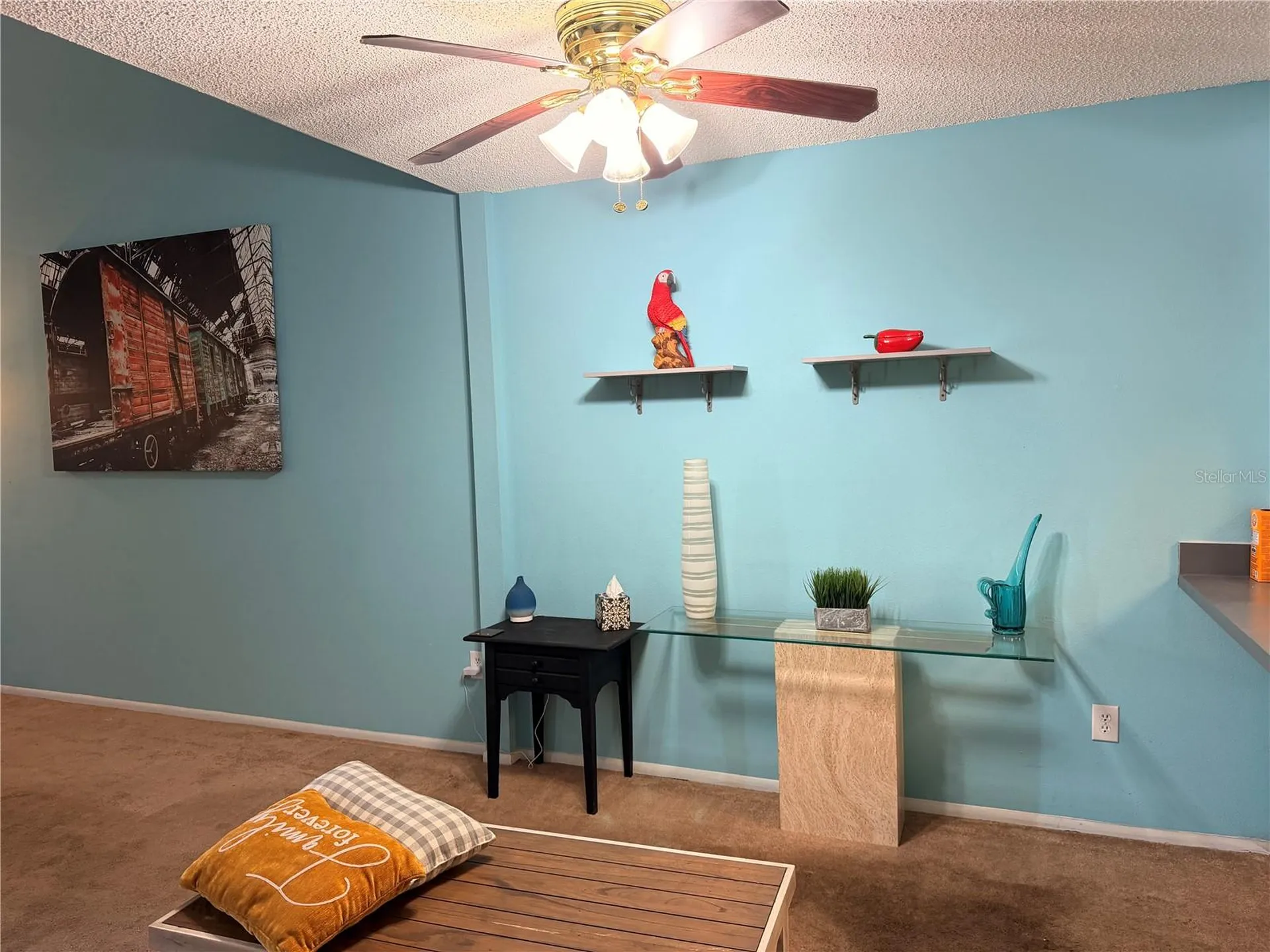 1849 Abrico Drive Lutz FL 33558