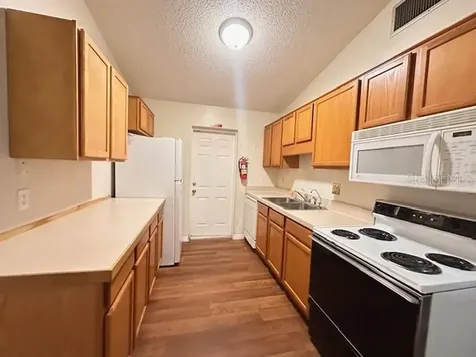 542 E Caroline Street Tavares FL 32778