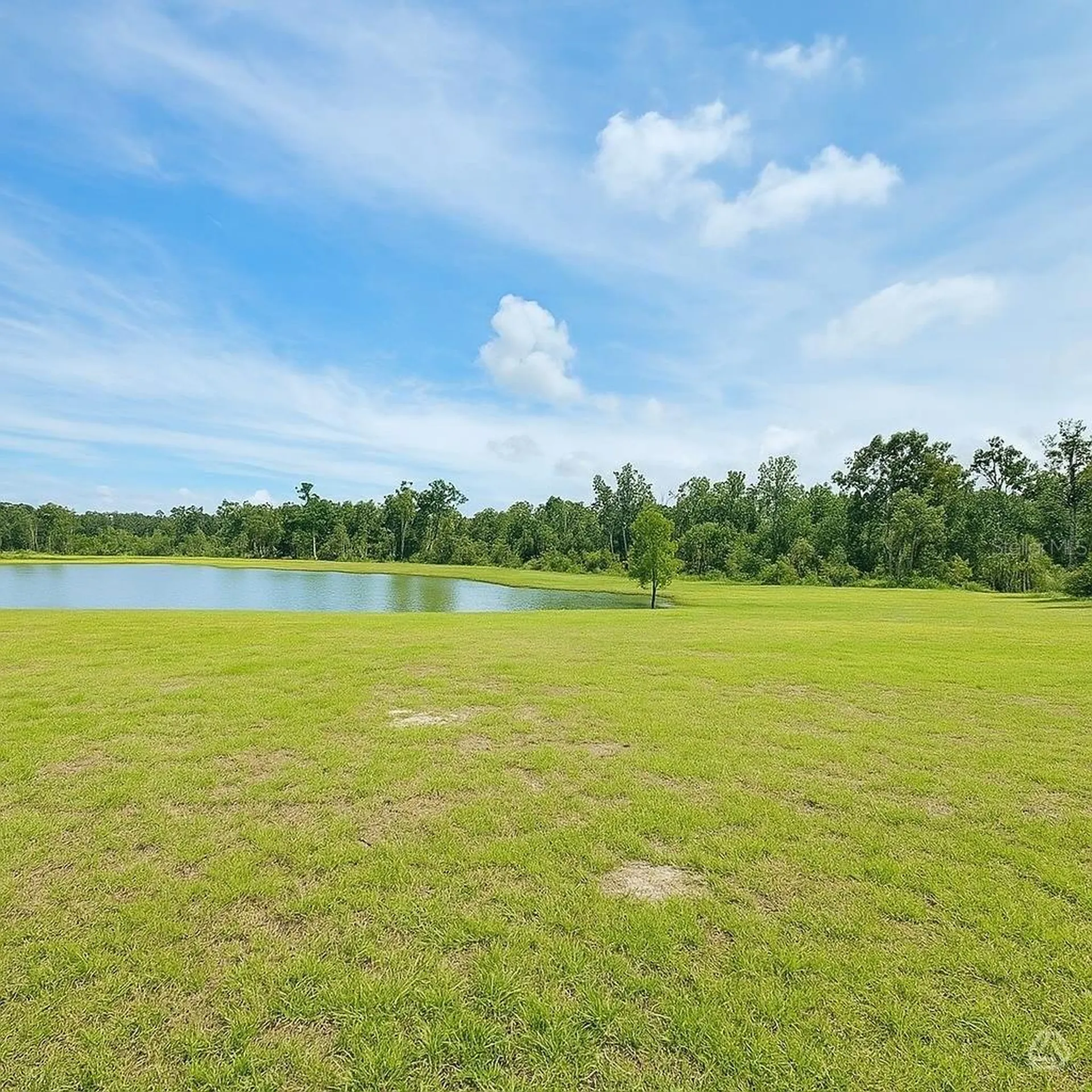 13118 Sassafras Trail Parrish FL 34219