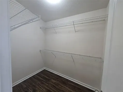 7624 Granitville Drive Wesley Chapel FL 33545