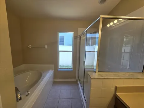 7624 Granitville Drive Wesley Chapel FL 33545
