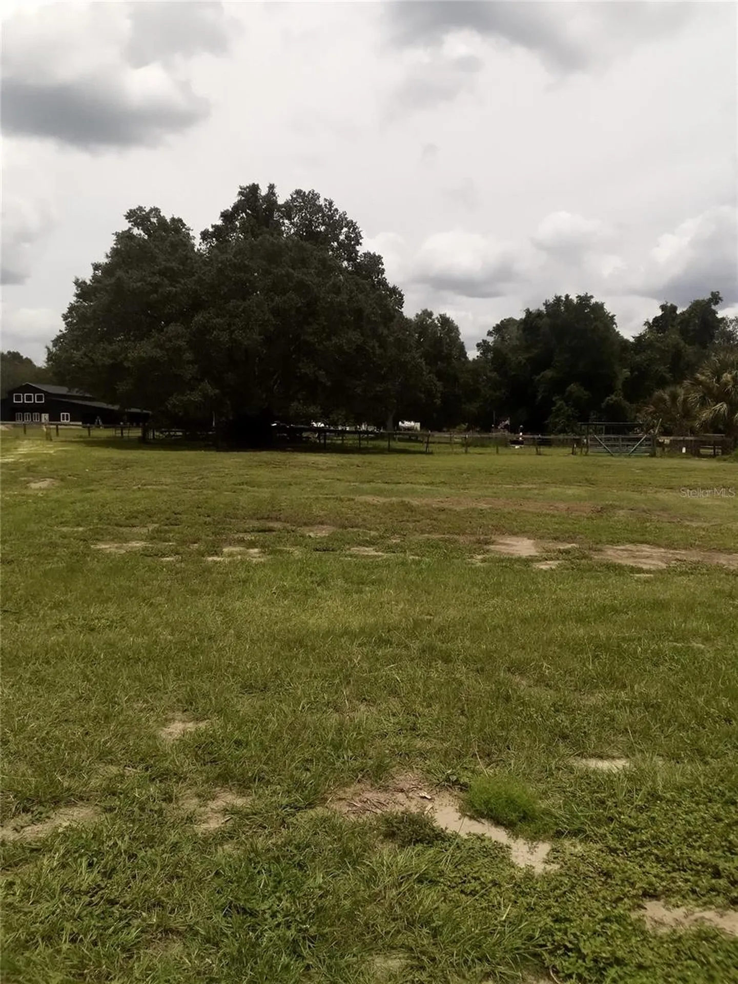 17936 SE 95th Street Road Ocklawaha FL 32179