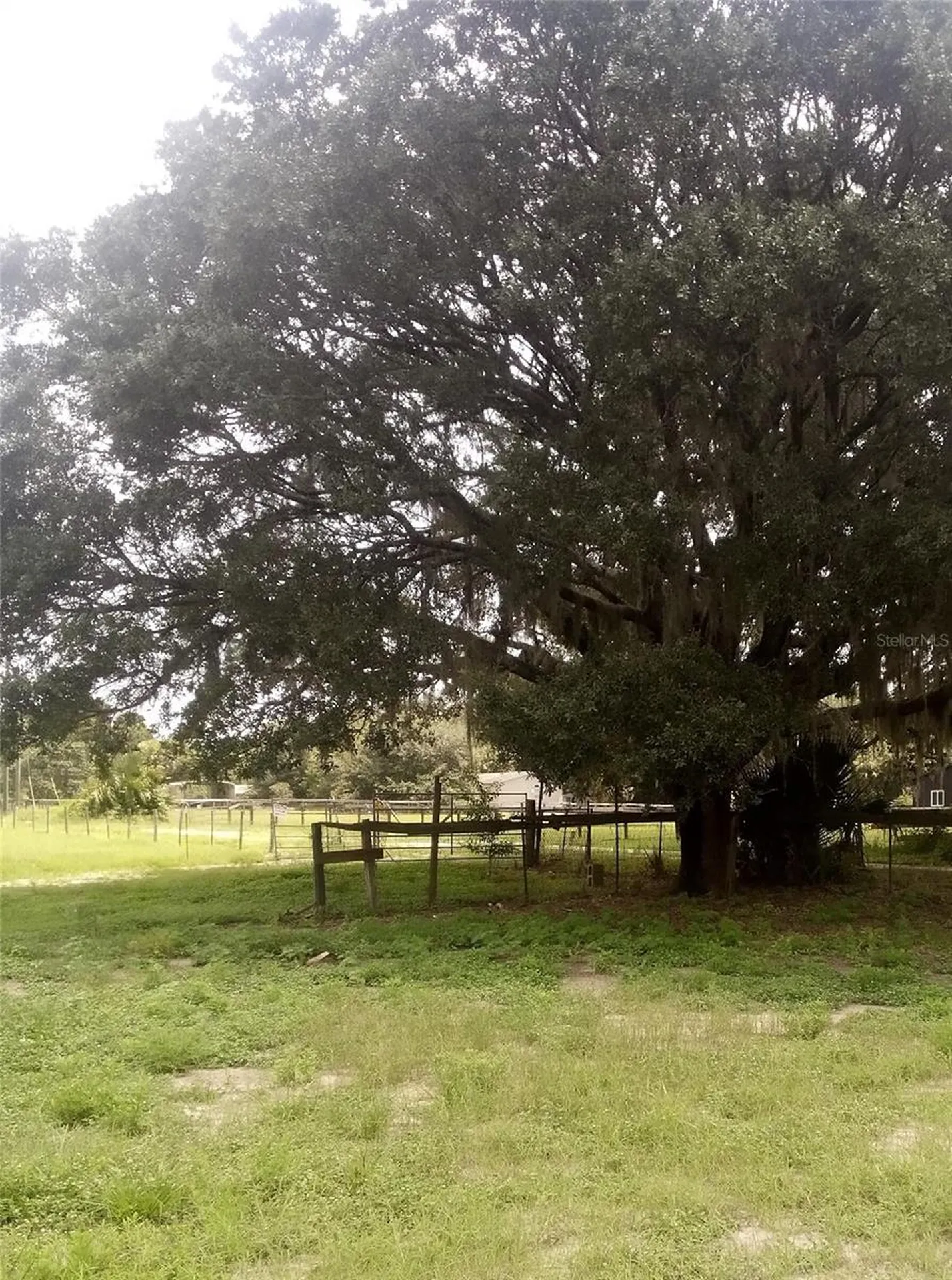 17936 SE 95th Street Road Ocklawaha FL 32179