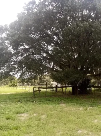 17936 SE 95th Street Road Ocklawaha FL 32179