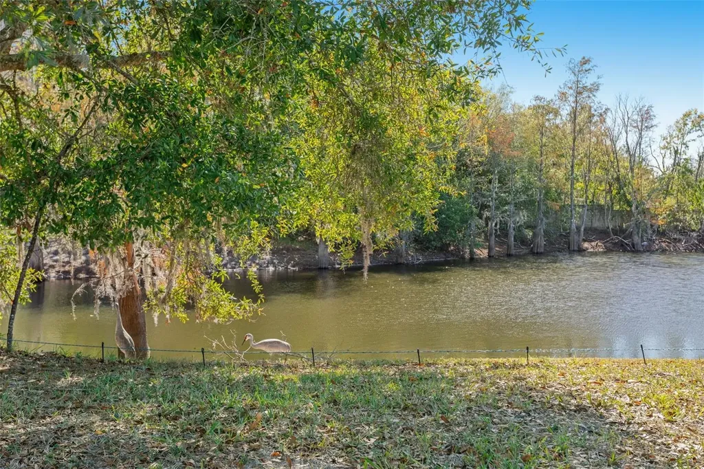9016 Easthaven Court New Port Richey FL 34655