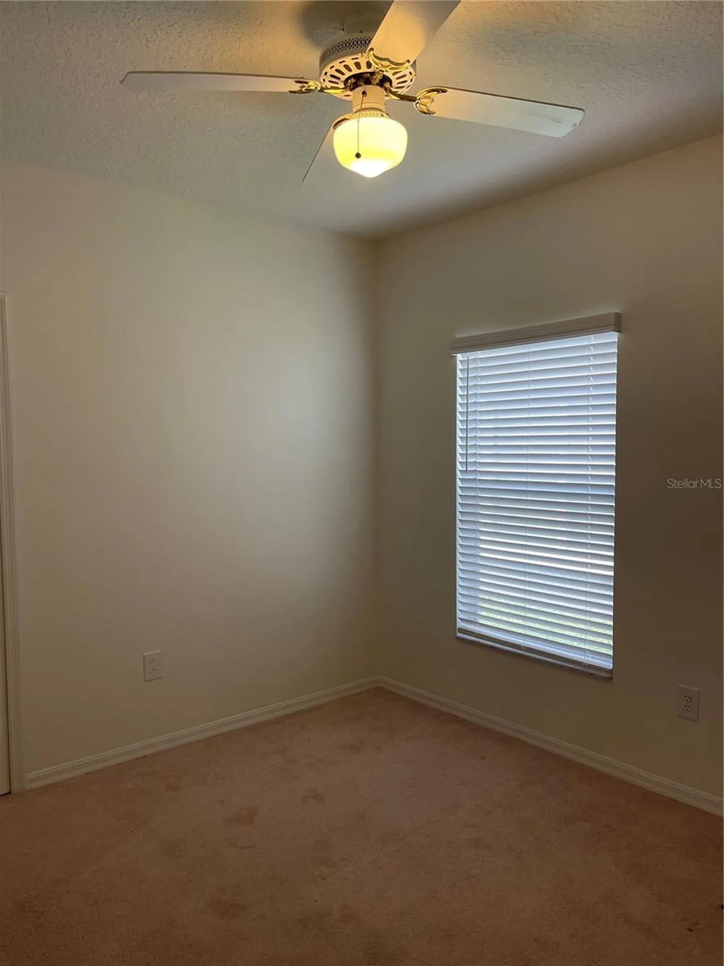 2482 Sagemont Drive Brandon FL 33511