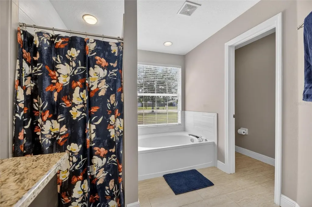 4409 Windmill Pointe Drive Plant City FL 33567