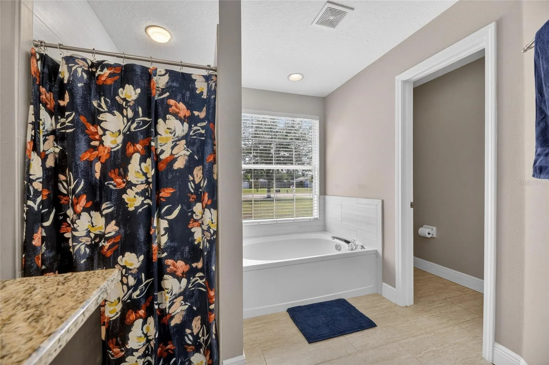4409 Windmill Pointe Drive Plant City FL 33567